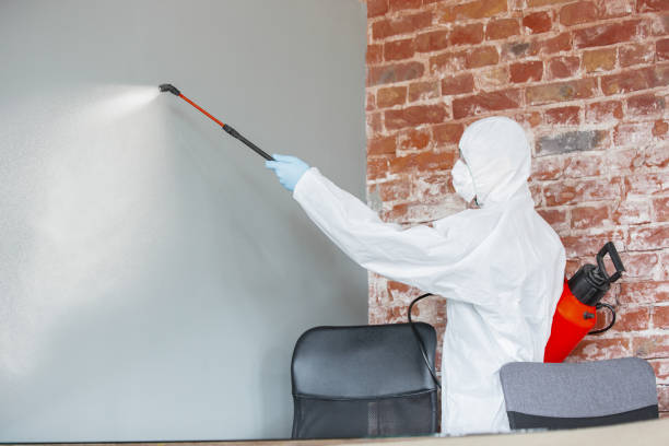 Best Air Quality Testing for Mold Spores  in Ddleville, MI