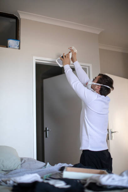  Ddleville, MI Mold Removal Pros