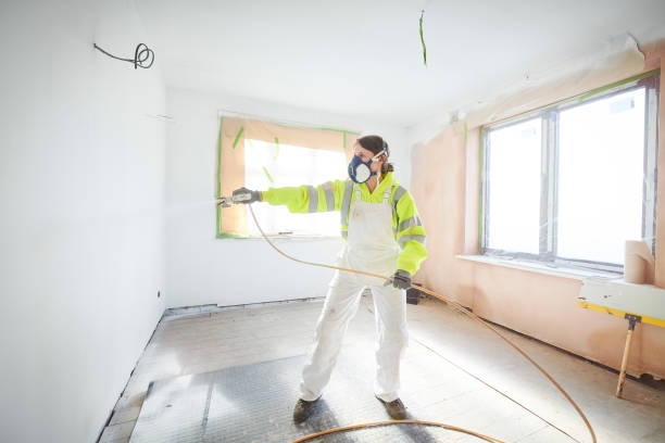 Best Emergency Mold Remediation  in Ddleville, MI