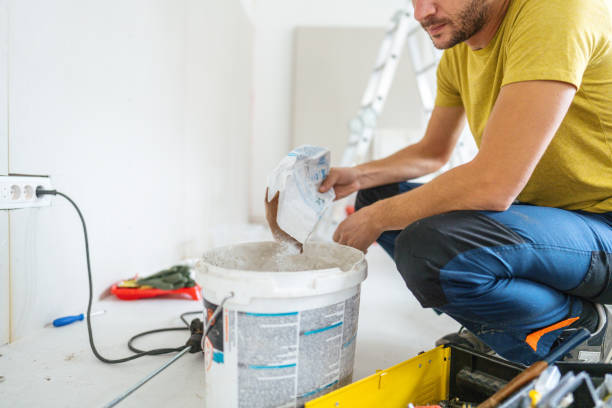 Best Environmental Consulting for Mold Prevention  in Ddleville, MI