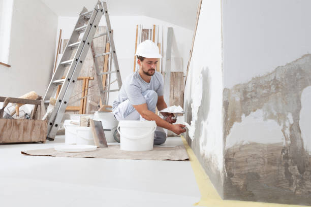 Middleville, MI Mold Removal Company