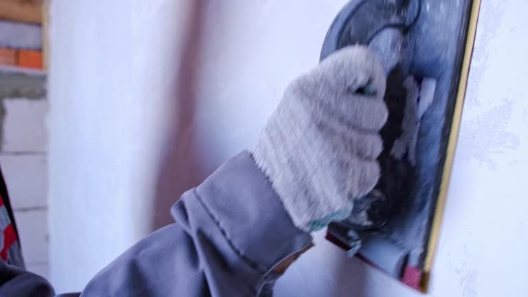 Best Black Mold Removal  in Ddleville, MI