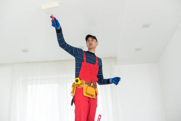 Best Mold Odor Removal Services  in Ddleville, MI