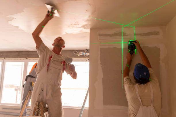 Best Biohazard Mold Removal  in Ddleville, MI