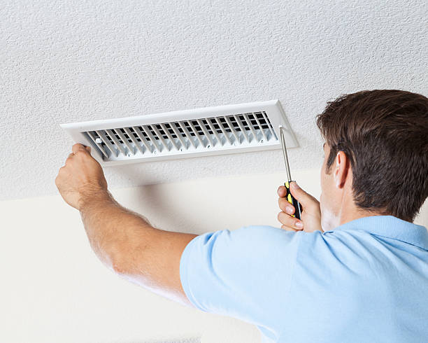Best Dehumidification Services  in Ddleville, MI