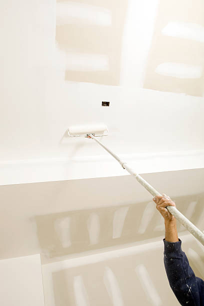 Best Biohazard Mold Removal  in Ddleville, MI