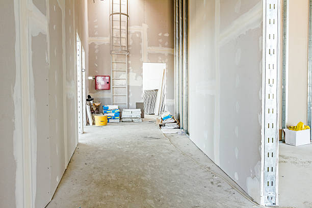 Best Residential Mold Inspection & Testing  in Ddleville, MI