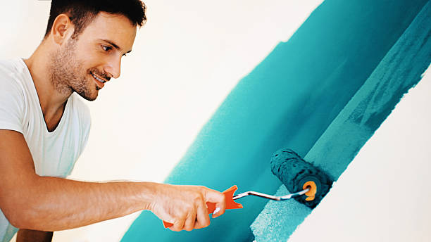 Best Basement Mold Removal  in Ddleville, MI