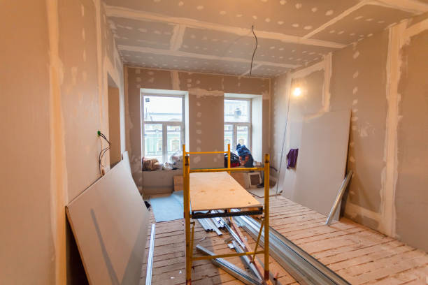 Best HVAC Mold Inspection and Cleaning  in Ddleville, MI